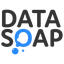Data Soap logo